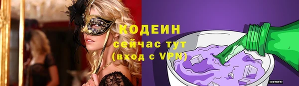 прущие грибы Медногорск
