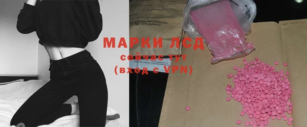 прущие грибы Медногорск