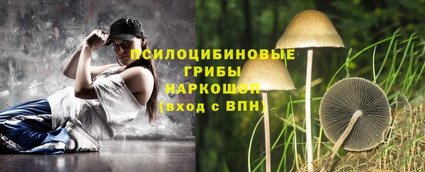 PSILOCYBIN Медвежьегорск