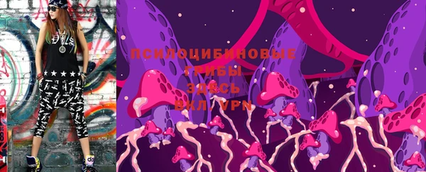 PSILOCYBIN Медвежьегорск