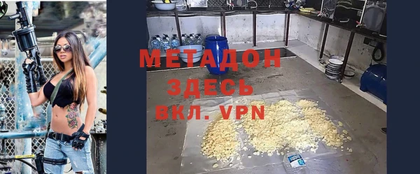прущие грибы Медногорск