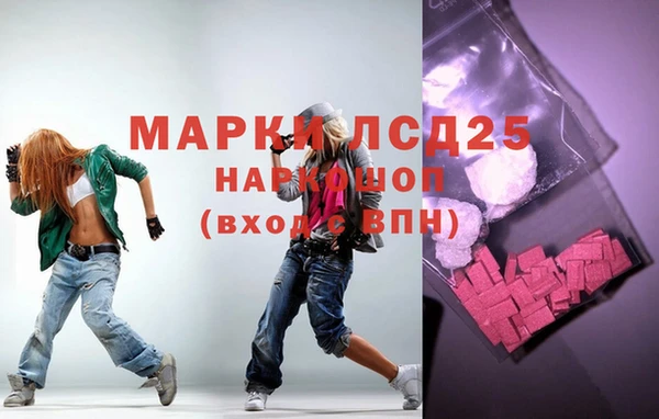 прущие грибы Медногорск