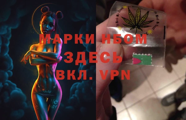 PSILOCYBIN Медвежьегорск